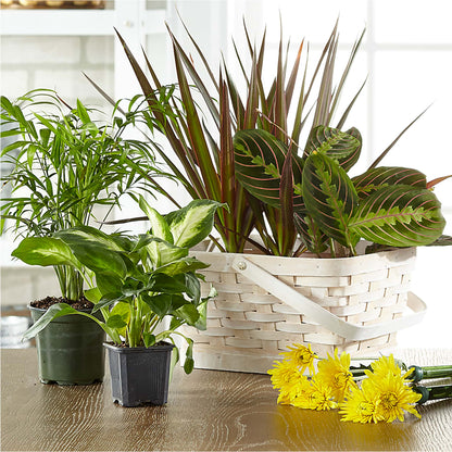 Florist Designed Blooming and Green Plants in a Basket –  Mongis Luxe Creations Llc, Old Bridge NJ