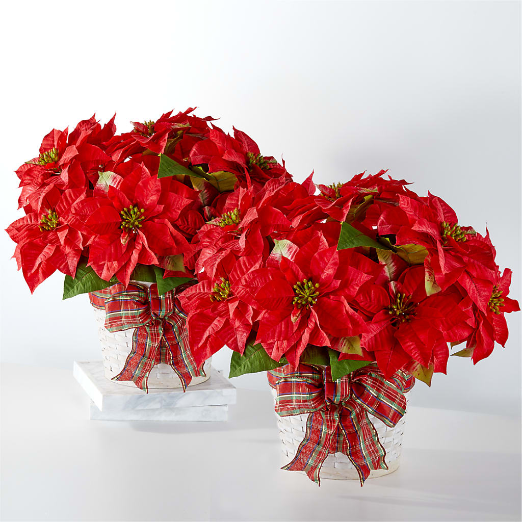 Happiest Holidays Poinsettia Bundle –  Mongis Luxe Creations Llc, Old Bridge NJ