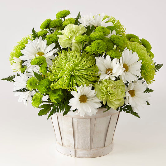 Lucky Charm Basket (Standard) –  Mongis Luxe Creations Llc, Old Bridge NJ