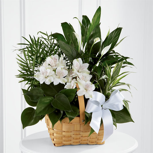 Peace & Serenity Dishgarden –  Mongis Luxe Creations Llc, Old Bridge NJ