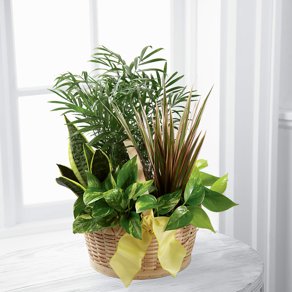 French Garden –  Mongis Luxe Creations Llc, Old Bridge NJ