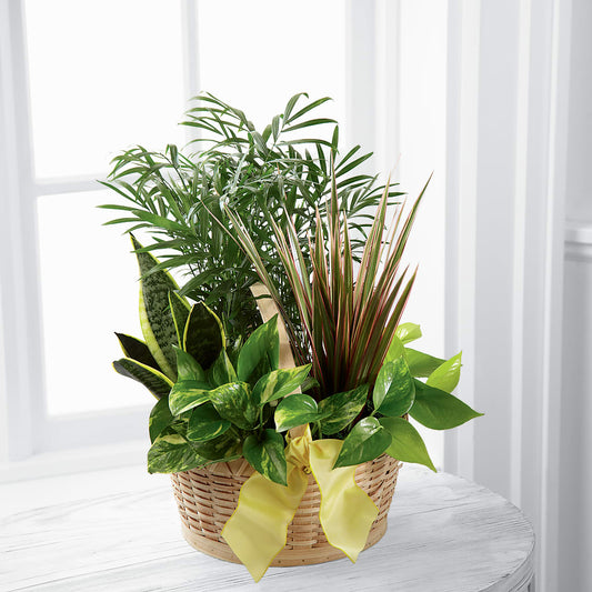 French Garden –  Mongis Luxe Creations Llc, Old Bridge NJ