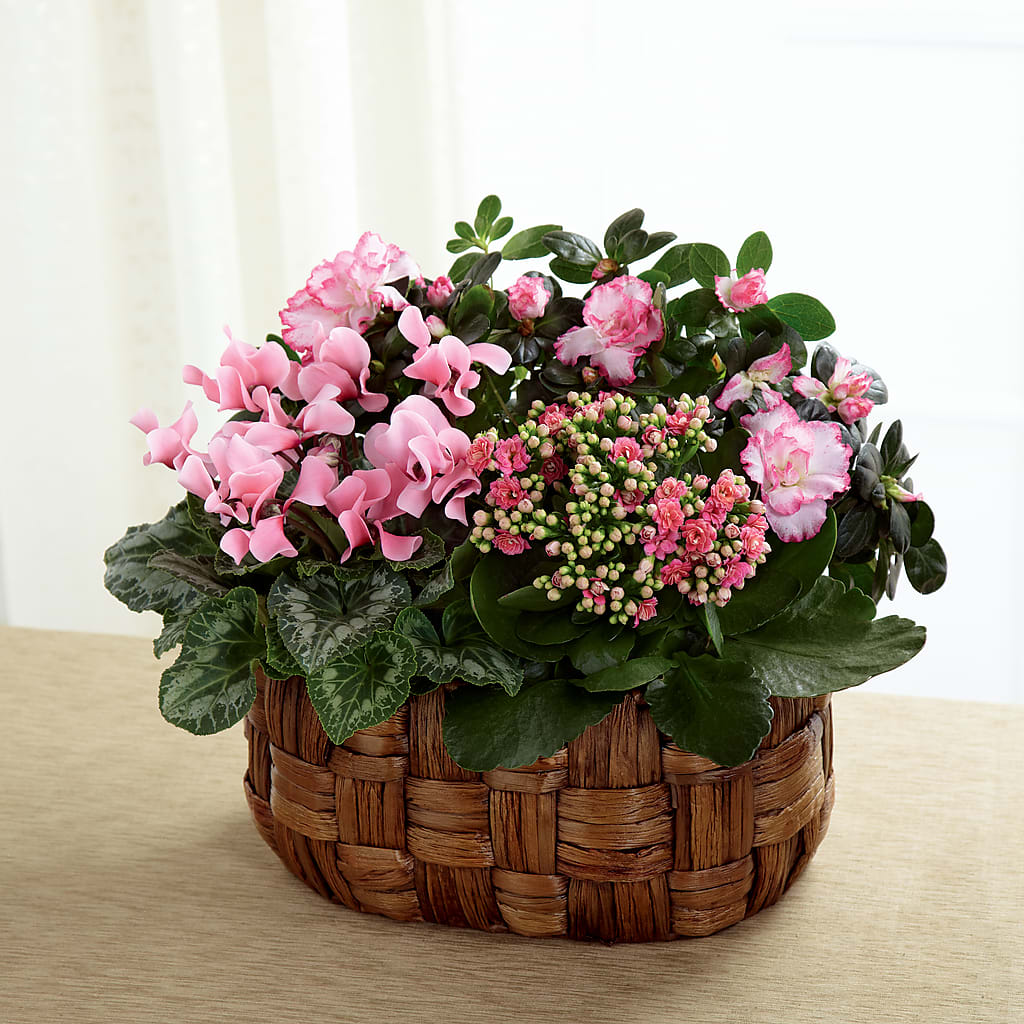 Pink Assortment –  Mongis Luxe Creations Llc, Old Bridge NJ