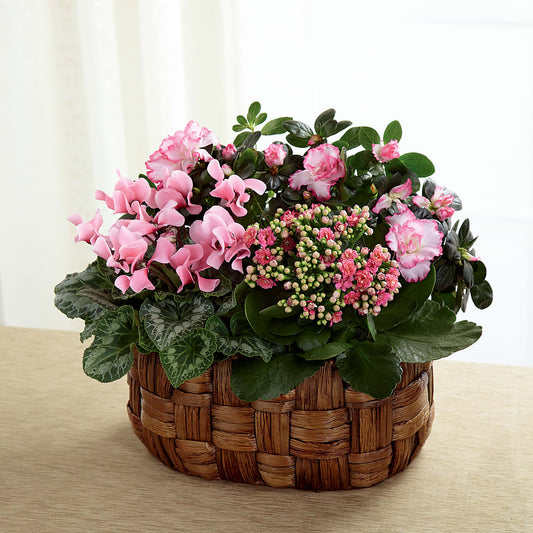 Pink Assortment –  Mongis Luxe Creations Llc, Old Bridge NJ