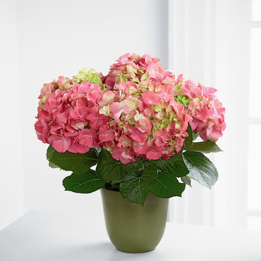 Pink Hydrangea Planter –  Mongis Luxe Creations Llc, Old Bridge NJ