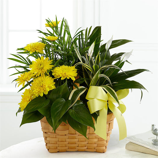 Loving Light Dishgarden –  Mongis Luxe Creations Llc, Old Bridge NJ