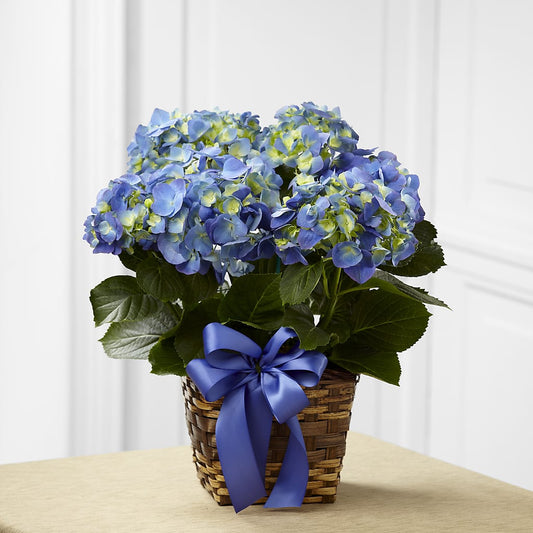 Blue Hydrangea Planter –  Mongis Luxe Creations Llc, Old Bridge NJ