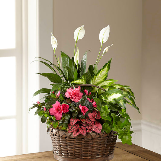Dream in Pink Dishgarden –  Mongis Luxe Creations Llc, Old Bridge NJ