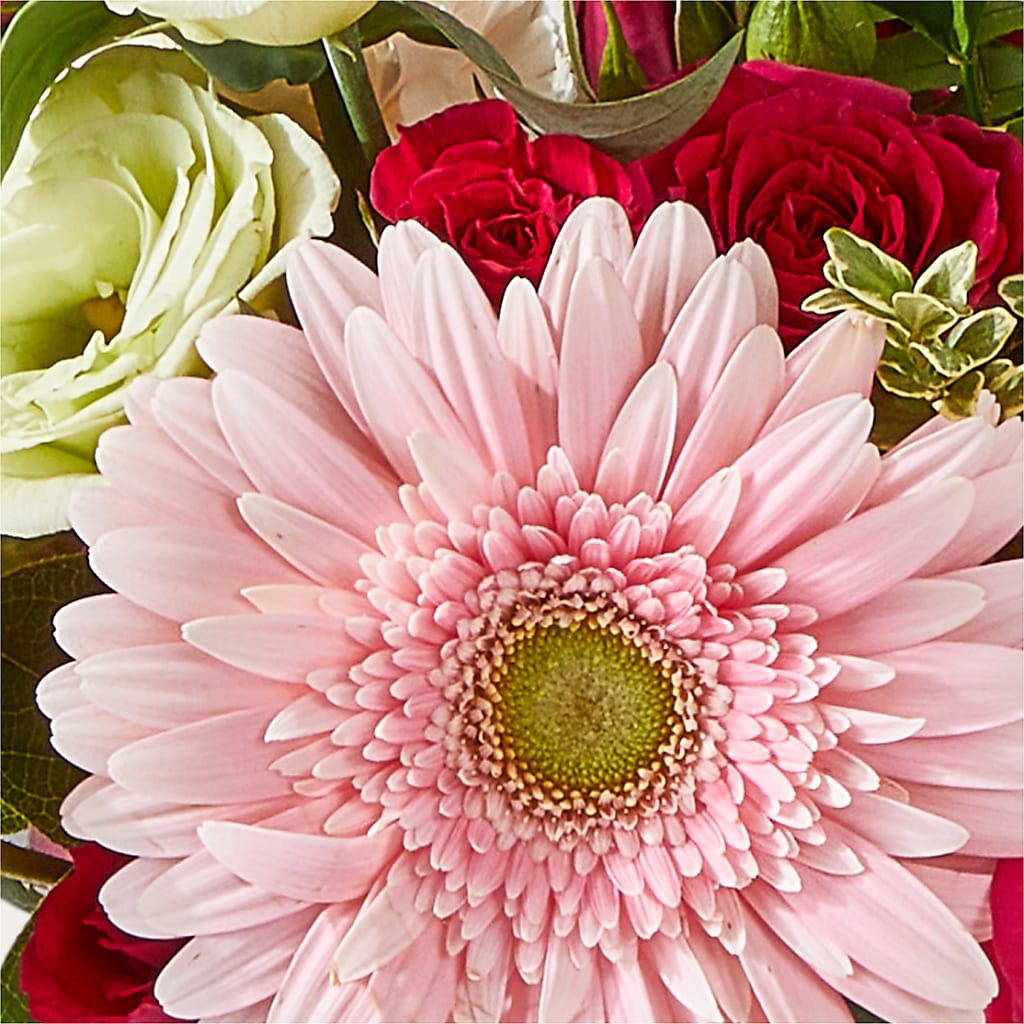 Too Cute Bouquet –  Mongis Luxe Creations Llc, Old Bridge NJ