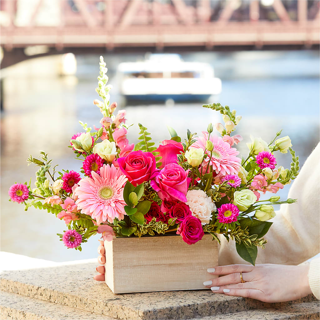 Too Cute Bouquet –  Mongis Luxe Creations Llc, Old Bridge NJ