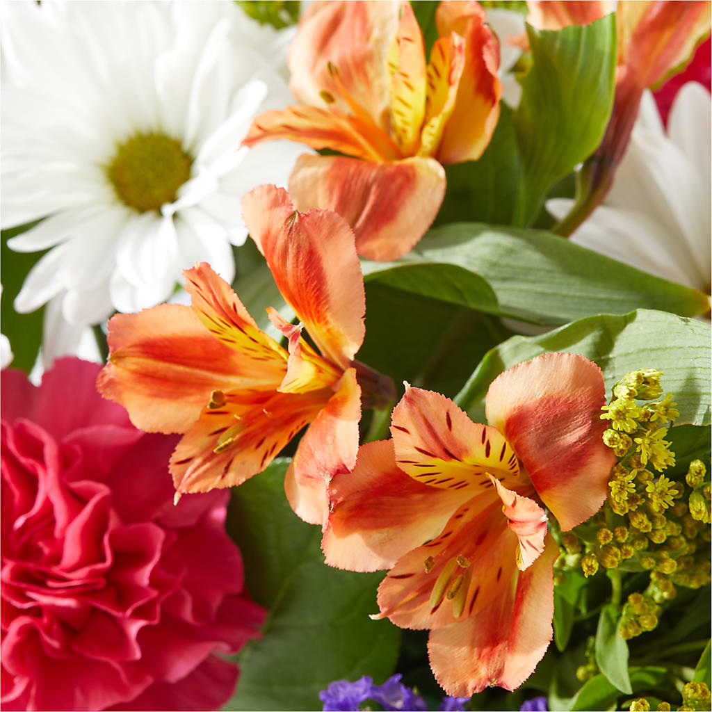 Oopsie Daisy Box Bouquet –  Mongis Luxe Creations Llc, Old Bridge NJ