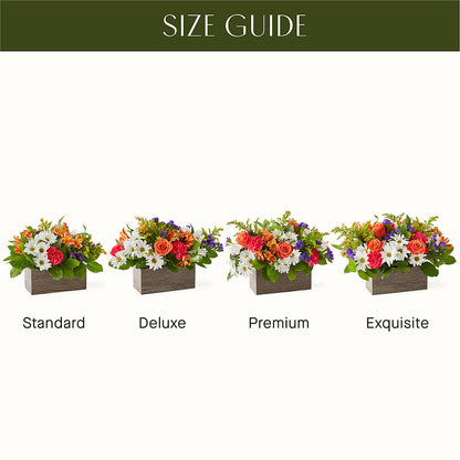 Oopsie Daisy Box Bouquet –  Mongis Luxe Creations Llc, Old Bridge NJ