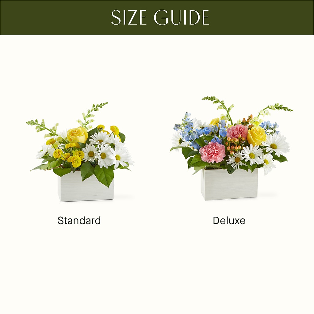 Sun Salutation Box Bouquet –  Mongis Luxe Creations Llc, Old Bridge NJ