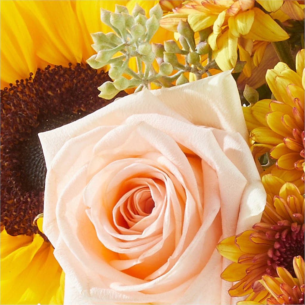 Pumpkin to Talk About Bouquet –  Mongis Luxe Creations Llc, Old Bridge NJ