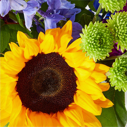 Catching Rays Bouquet –  Mongis Luxe Creations Llc, Old Bridge NJ