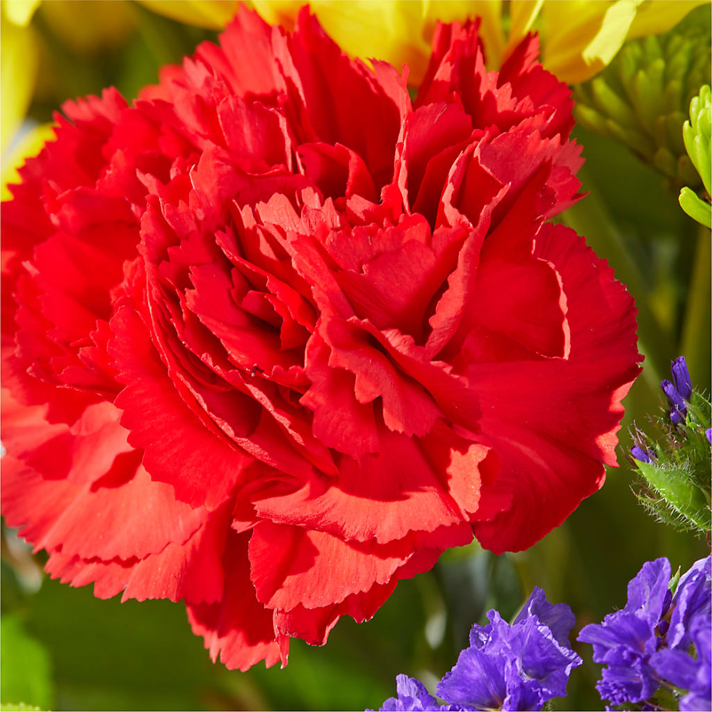 Brighter Days Bouquet –  Mongis Luxe Creations Llc, Old Bridge NJ