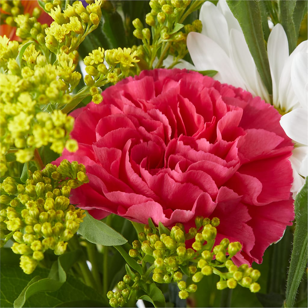 Oopsie Daisy Bouquet –  Mongis Luxe Creations Llc, Old Bridge NJ