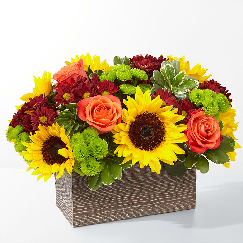 Happy Harvest Garden –  Mongis Luxe Creations Llc, Old Bridge NJ