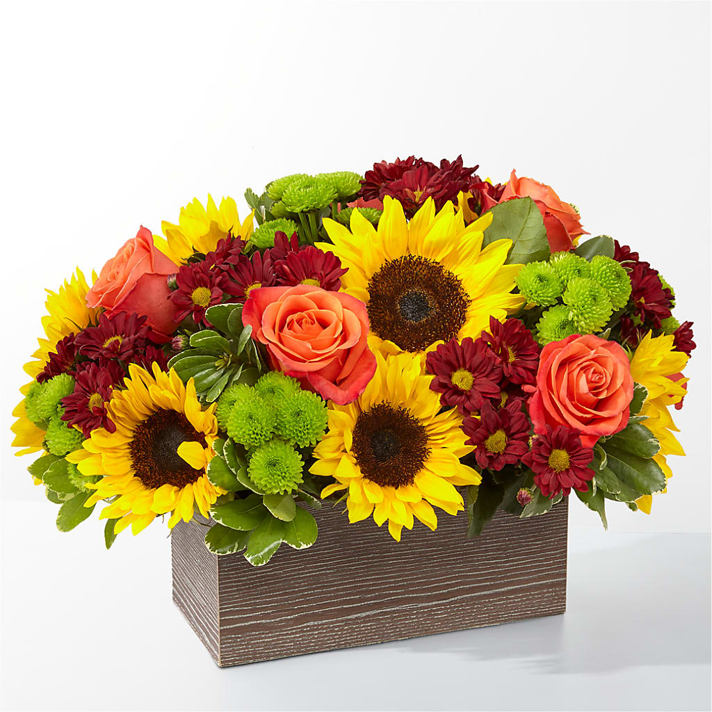 Happy Harvest Garden –  Mongis Luxe Creations Llc, Old Bridge NJ