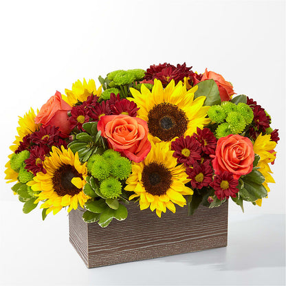 Happy Harvest Garden –  Mongis Luxe Creations Llc, Old Bridge NJ