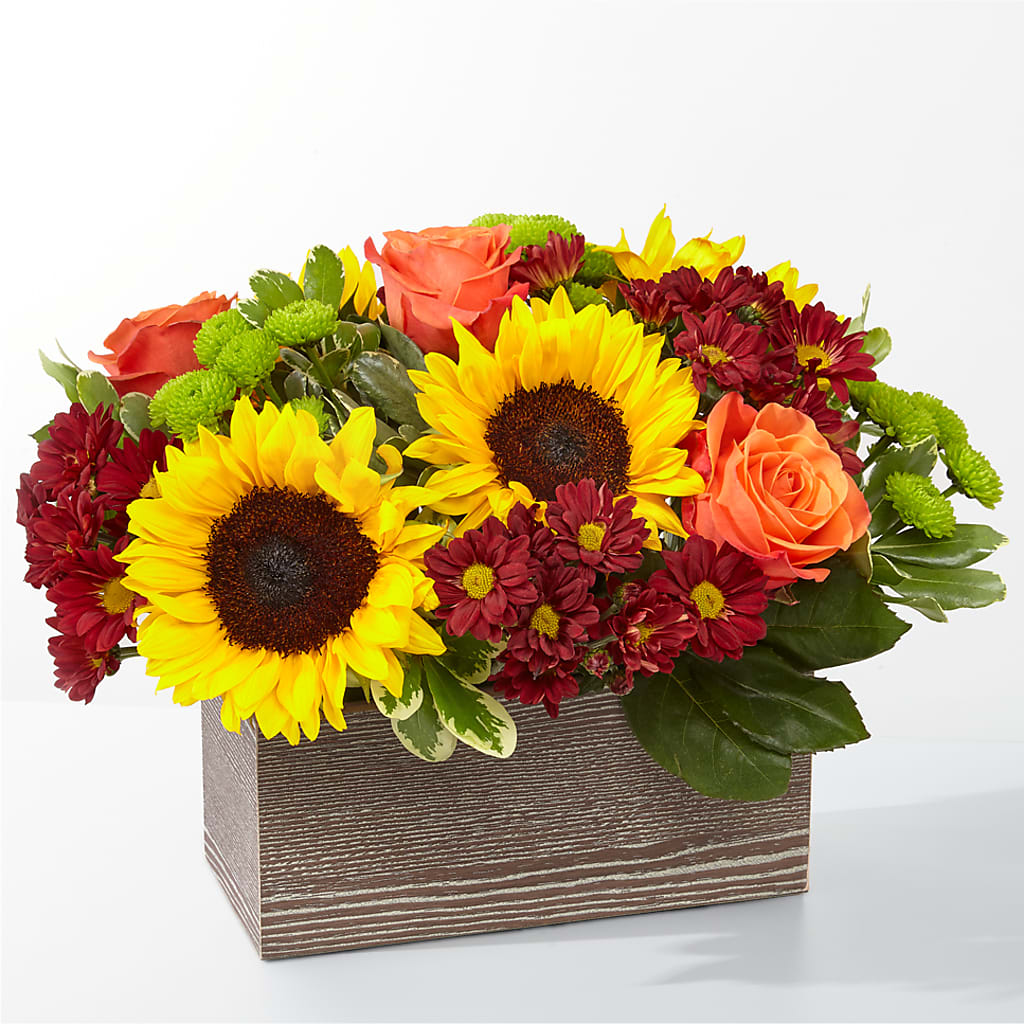Happy Harvest Garden –  Mongis Luxe Creations Llc, Old Bridge NJ