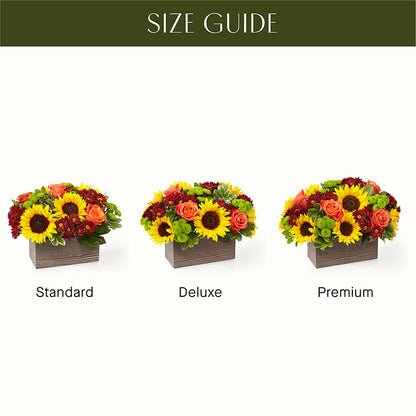 Happy Harvest Garden –  Mongis Luxe Creations Llc, Old Bridge NJ