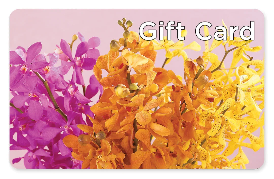 Gift Card –  Mongis Luxe Creations Llc, Old Bridge NJ