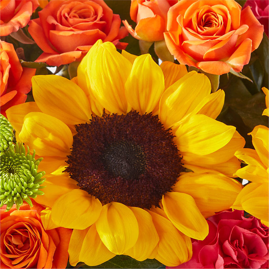 Sun-drenched Blooms Box Bouquet –  Mongis Luxe Creations Llc, Old Bridge NJ