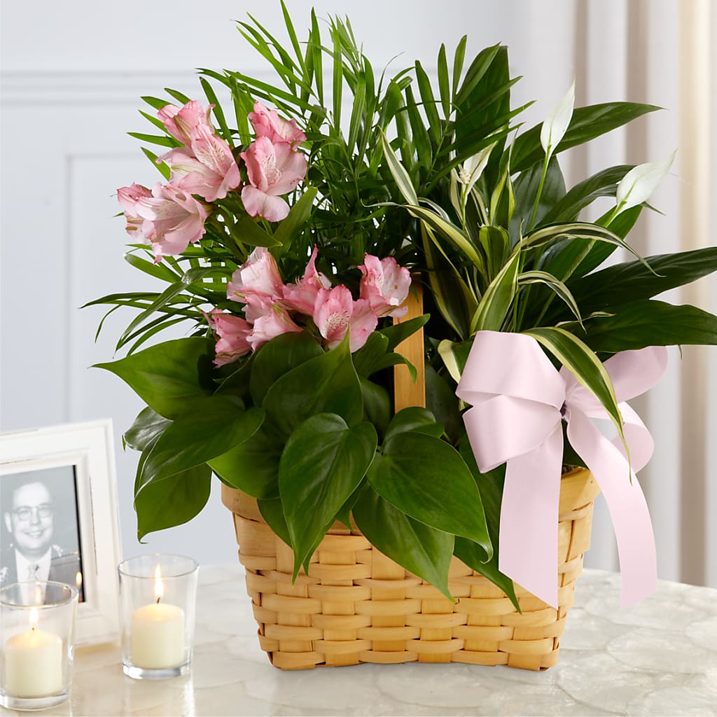 Living Spirit Dishgarden –  Mongis Luxe Creations Llc, Old Bridge NJ