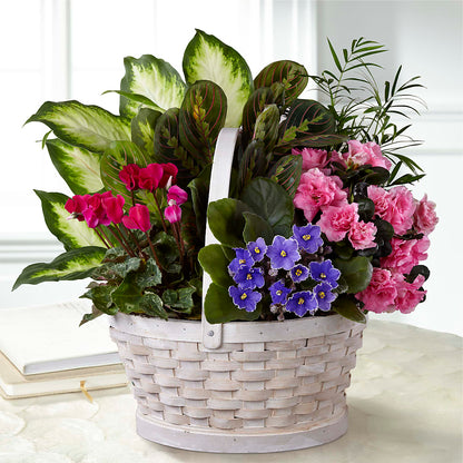 Peaceful Garden Planter –  Mongis Luxe Creations Llc, Old Bridge NJ
