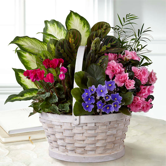 Peaceful Garden Planter –  Mongis Luxe Creations Llc, Old Bridge NJ