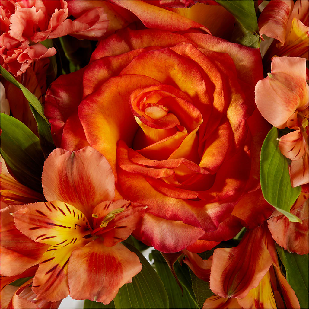 Apricot Glow Bouquet –  Mongis Luxe Creations Llc, Old Bridge NJ