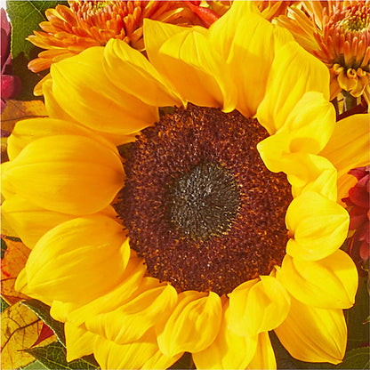Sunny Side Bouquet –  Mongis Luxe Creations Llc, Old Bridge NJ