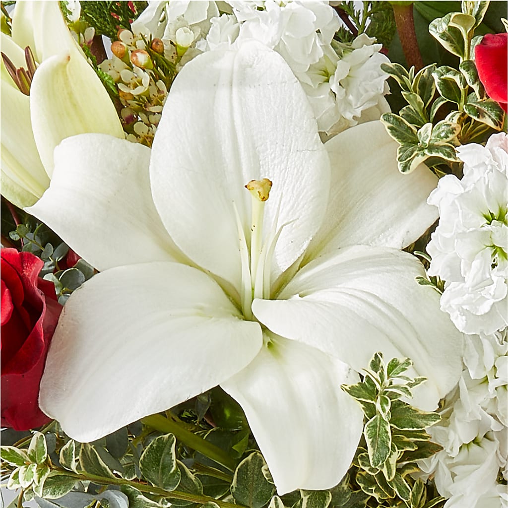Twinkle Lights Bouquet –  Mongis Luxe Creations Llc, Old Bridge NJ