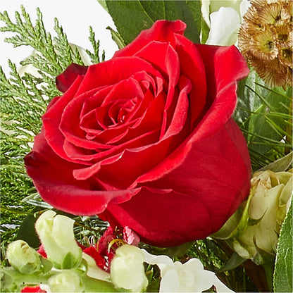 Deck the Halls Bouquet –  Mongis Luxe Creations Llc, Old Bridge NJ