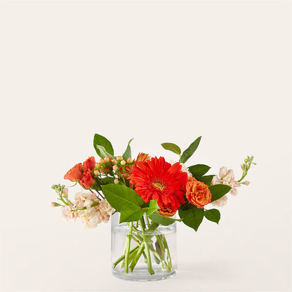 Paloma Please Bouquet –  Mongis Luxe Creations Llc, Old Bridge NJ