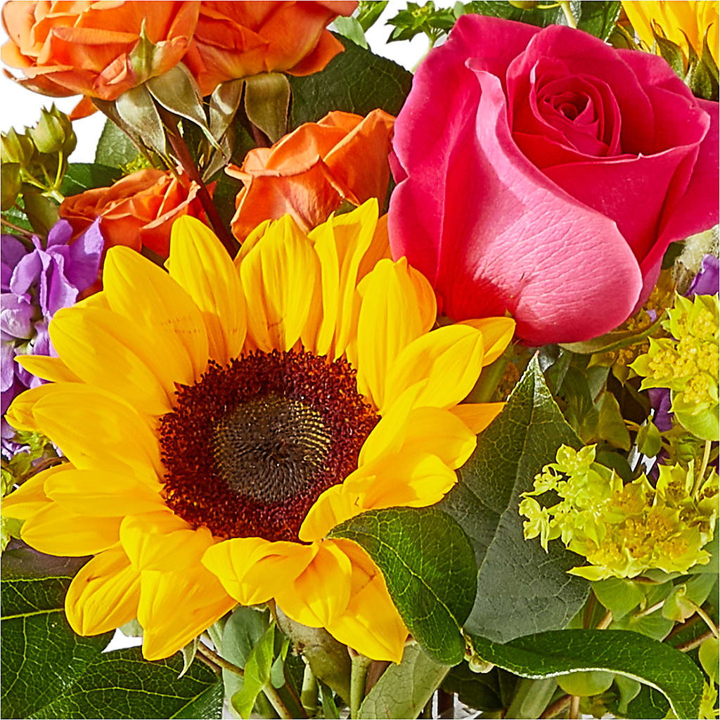 Vibrant Greetings Bouquet –  Mongis Luxe Creations Llc, Old Bridge NJ