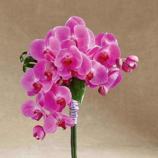 Glorious Bouquet –  Mongis Luxe Creations Llc, Old Bridge NJ