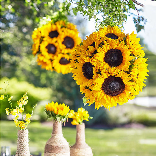 Sublime Garden Hanging Arrangement –  Mongis Luxe Creations Llc, Old Bridge NJ