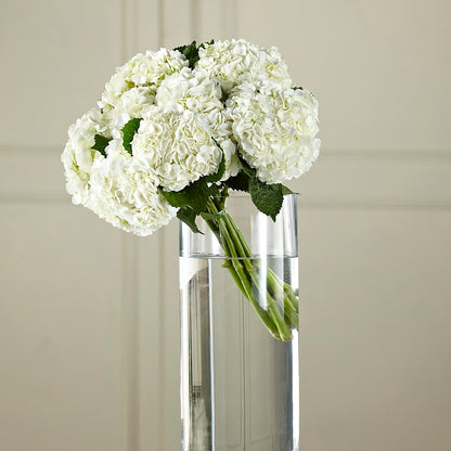 White Hydrangea Hand-Tied Bouquet –  Mongis Luxe Creations Llc, Old Bridge NJ