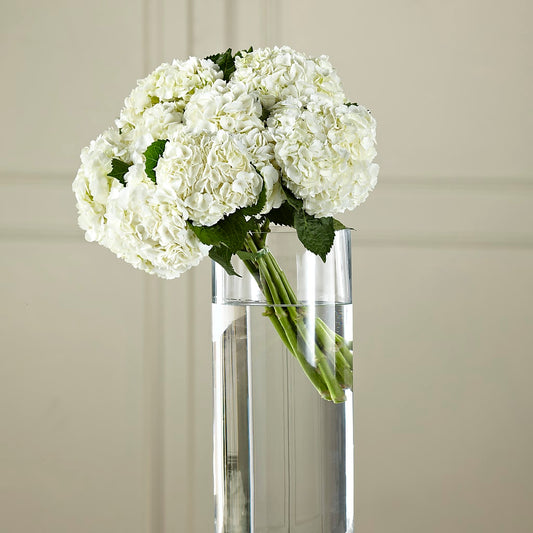 White Hydrangea Hand-Tied Bouquet –  Mongis Luxe Creations Llc, Old Bridge NJ