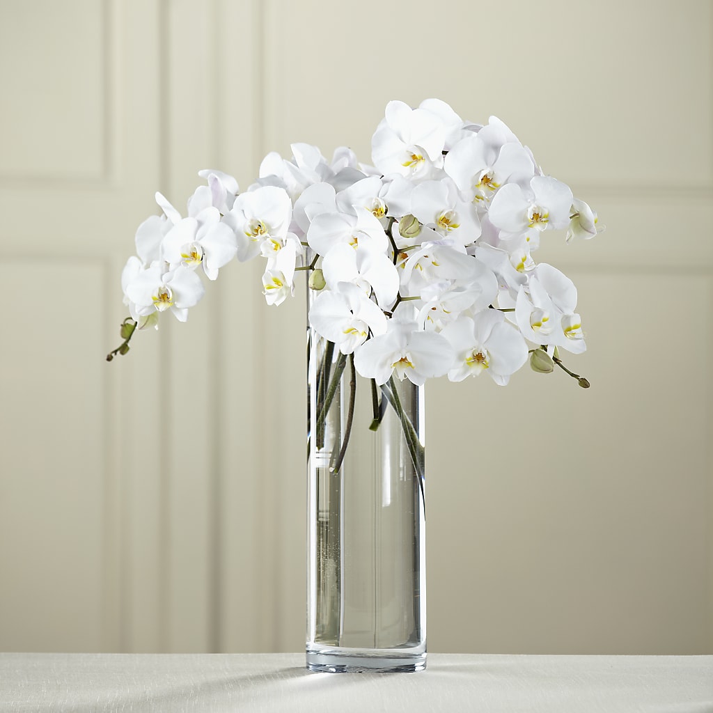 White Phalaenopsis Bouquet –  Mongis Luxe Creations Llc, Old Bridge NJ