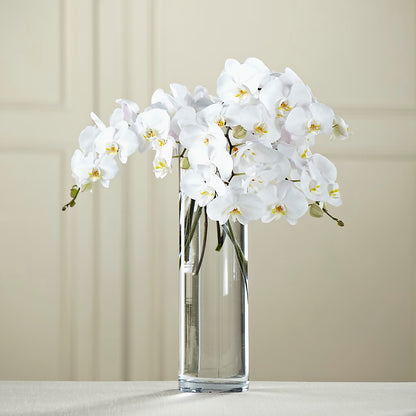 White Phalaenopsis Bouquet –  Mongis Luxe Creations Llc, Old Bridge NJ