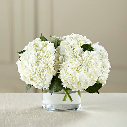 White Hydrangea Bouquet –  Mongis Luxe Creations Llc, Old Bridge NJ